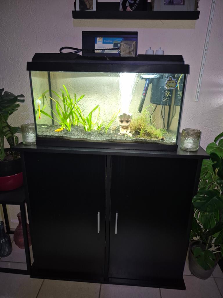 Aquarium plus kast, Ophalen, Gebruikt, Gevuld zoetwateraquarium
