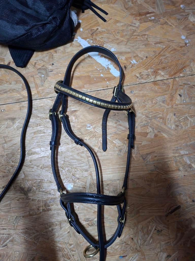Keurings  halster leer pony met lijn, Ophalen of Verzenden, Overige soorten