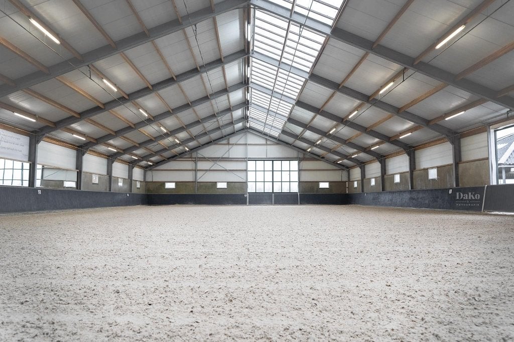 Luxe Pensionstalling Nigtevecht, Dieren en Toebehoren, Weidegang, 4 paarden of pony's of meer