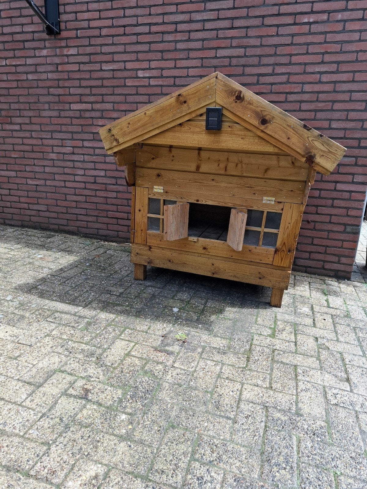 kippen / konijnen hokje, Vrouwelijk, Kip