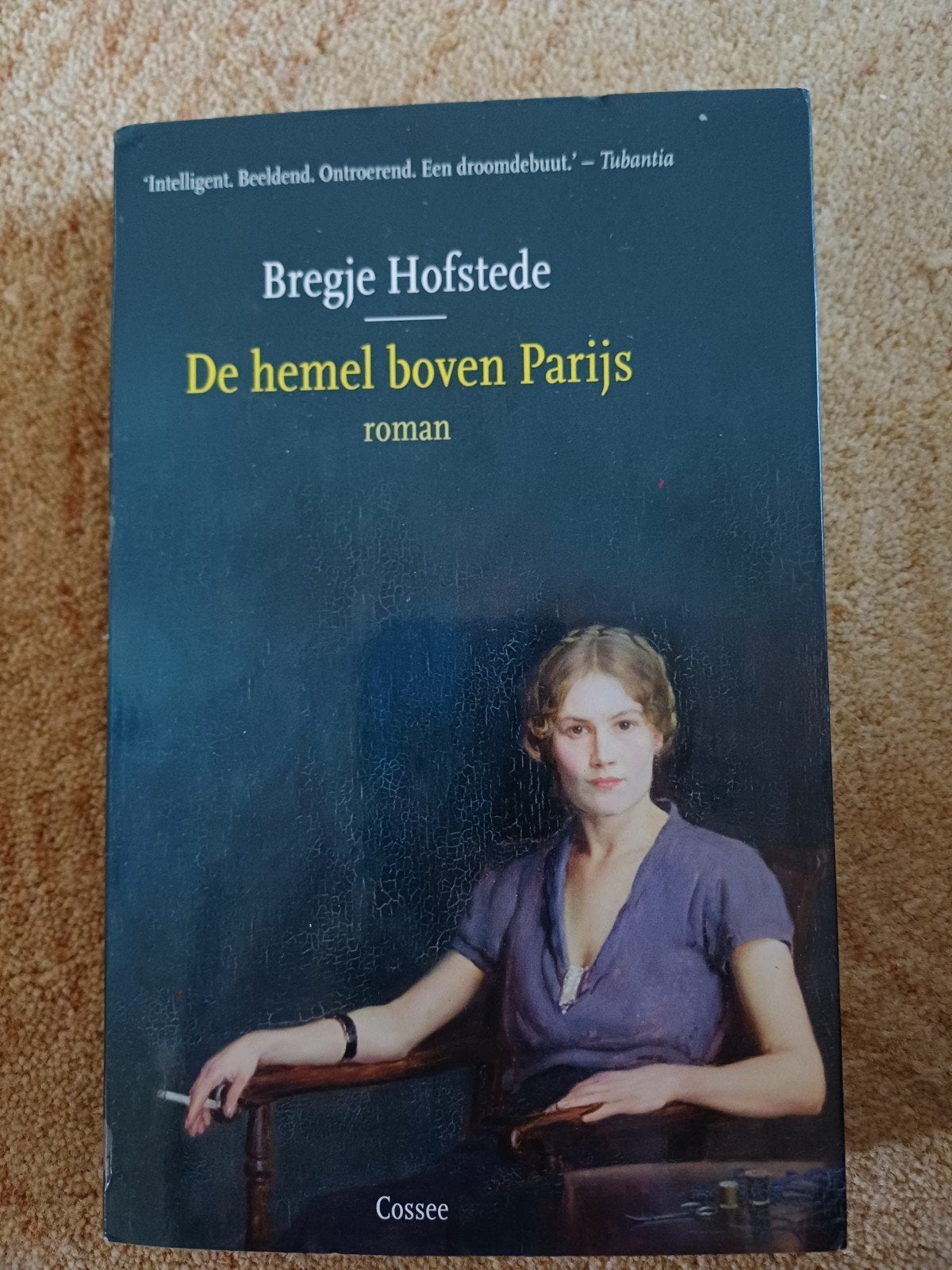 De hemel boven Parijs - Bregje Hofstede (roman), Ophalen of Verzenden, Gelezen, Bregje Hofstede, Nederland