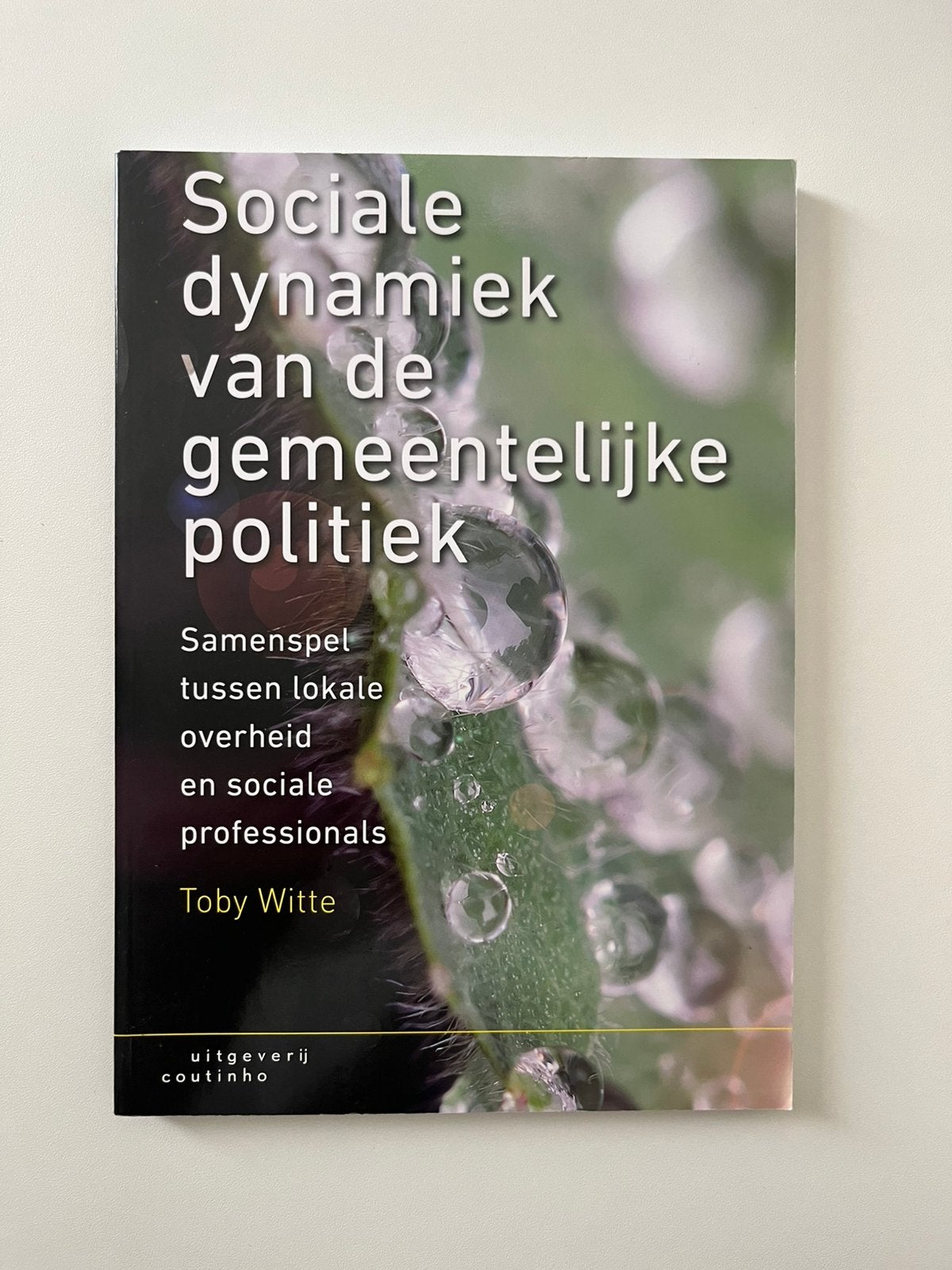 Sociale dynamiek van de gemeentelijke politiek, Boeken, Ophalen of Verzenden, Alpha, Gelezen, HBO