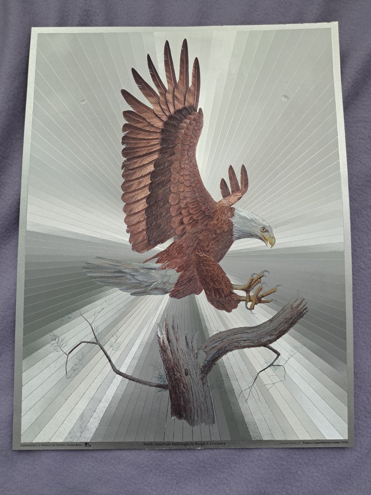 Vintage Dufex foil print van Ralph S. Cove, Ophalen of Verzenden, Overige technieken
