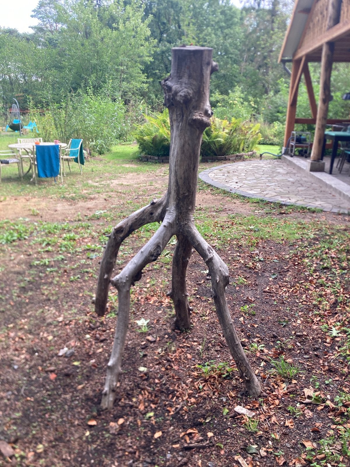 Uniek houten beeld van boomstronk olijfhout, Ophalen, Gebruikt, Hout, Abstract beeld