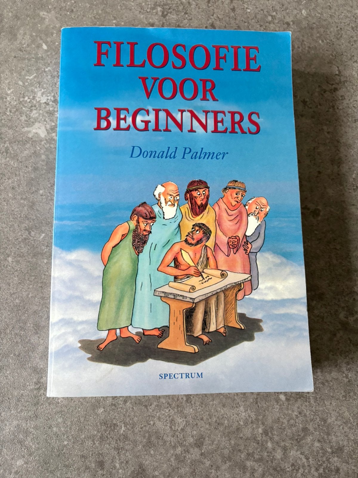 Donald Palmer - Filosofie voor beginners, Boeken, Ophalen of Verzenden, Zo goed als nieuw, Algemeen