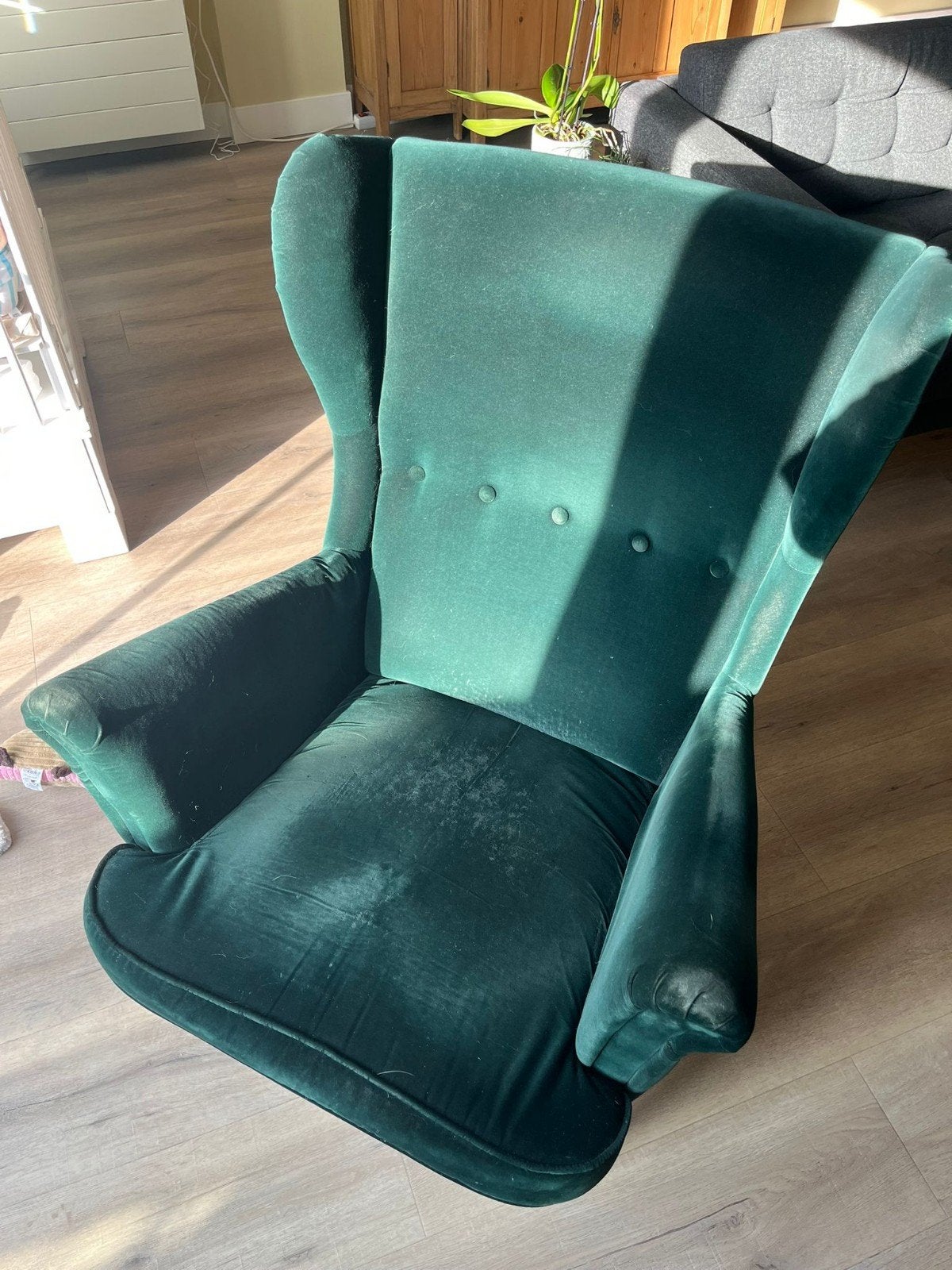 Twee groene fluwelen stoelen - gratis af te halen, Huis en Inrichting, Stoelen, Gebruikt, Twee, Overige kleuren, Ophalen of Verzenden