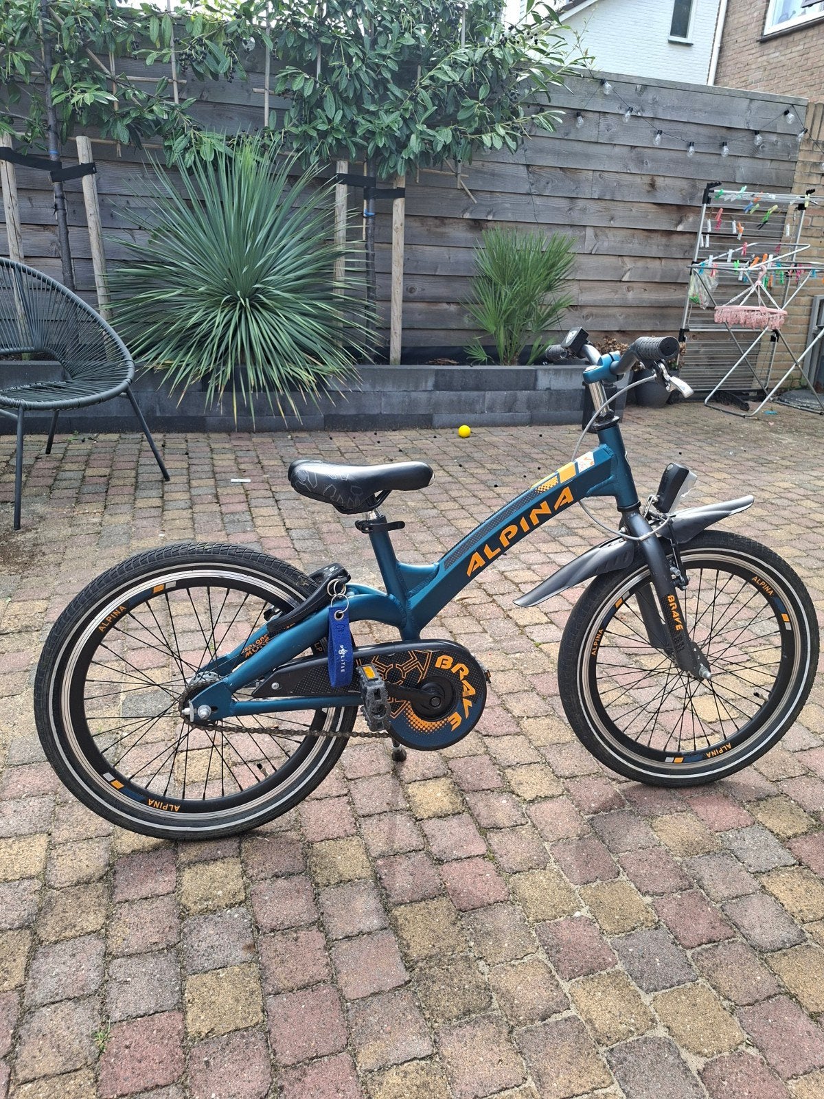 Alpina Brave 20 inch kinderfiets, Ophalen, Gebruikt, 20 inch of meer, Alpina