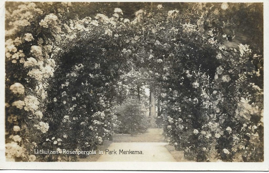 Uithuizen- -Rozenpergola in Park Menkema., Ophalen of Verzenden, 1940 tot 1960, Ongelopen, Groningen