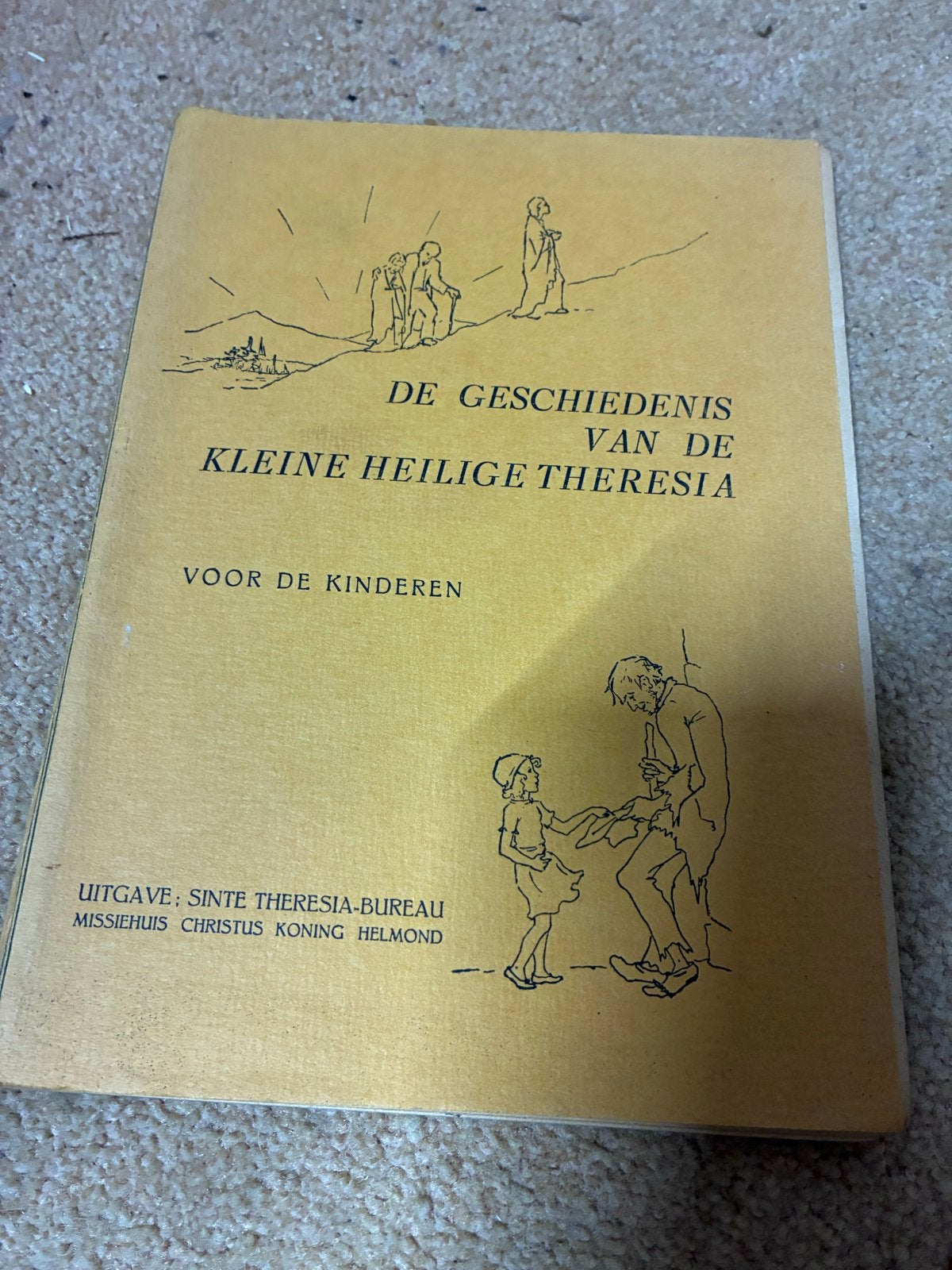 De Geschiedenis van de Kleine Heilige Theresia, Ophalen of Verzenden, Gelezen, Non-fictie