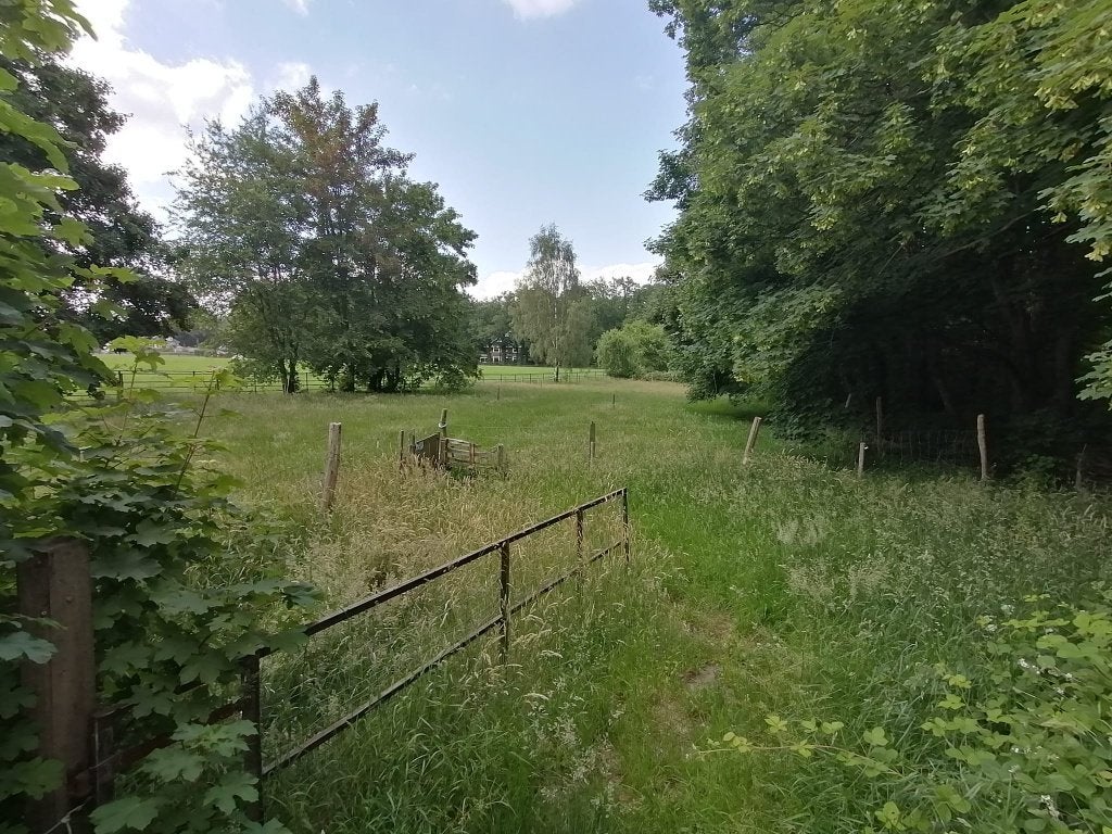 Weiland te huur, Dieren en Toebehoren, Stalling en Weidegang, Weidegang