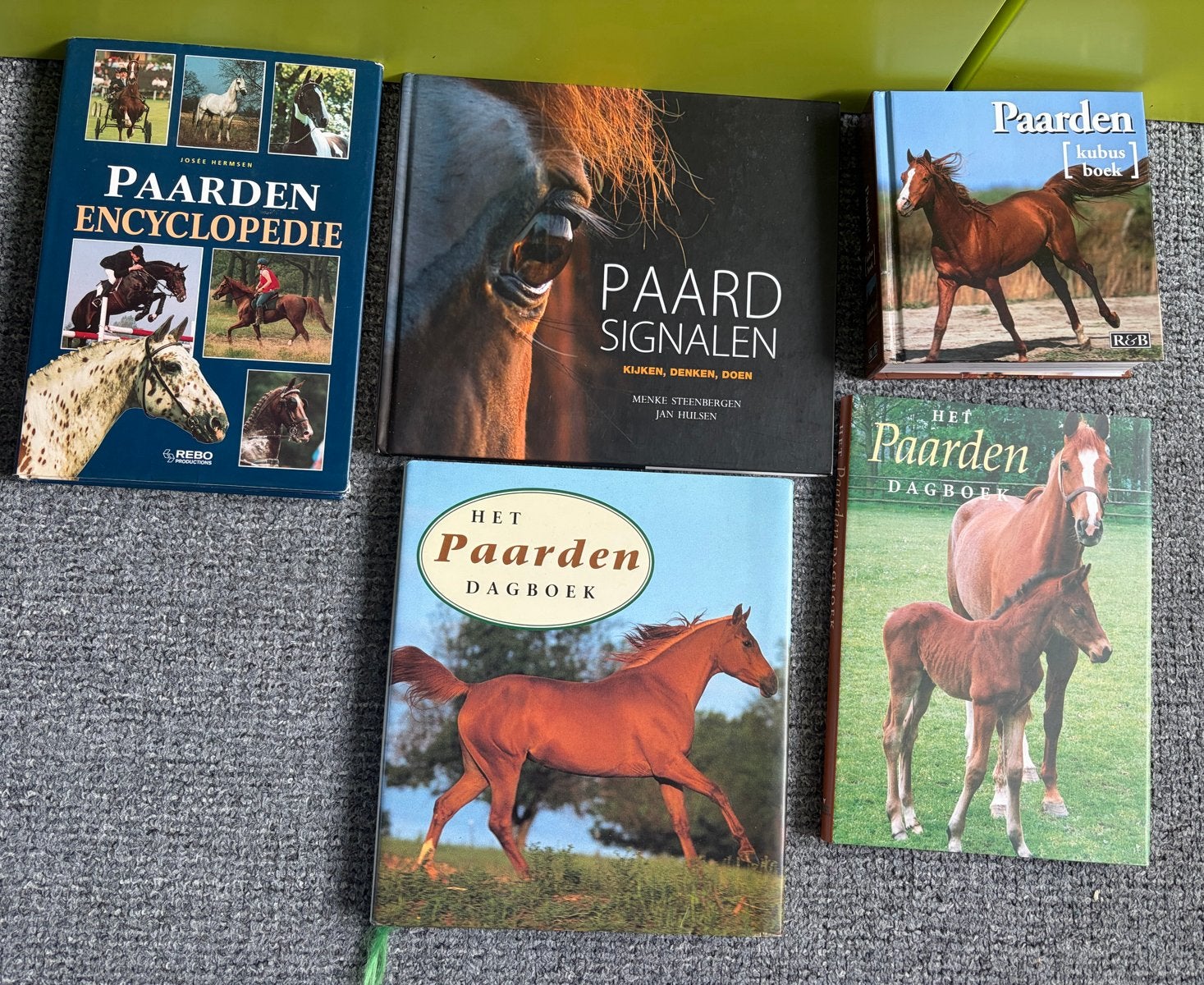 Paardenboeken collectie nieuw en gebruikt, Ophalen of Verzenden, Nieuw, Paarden of Pony's