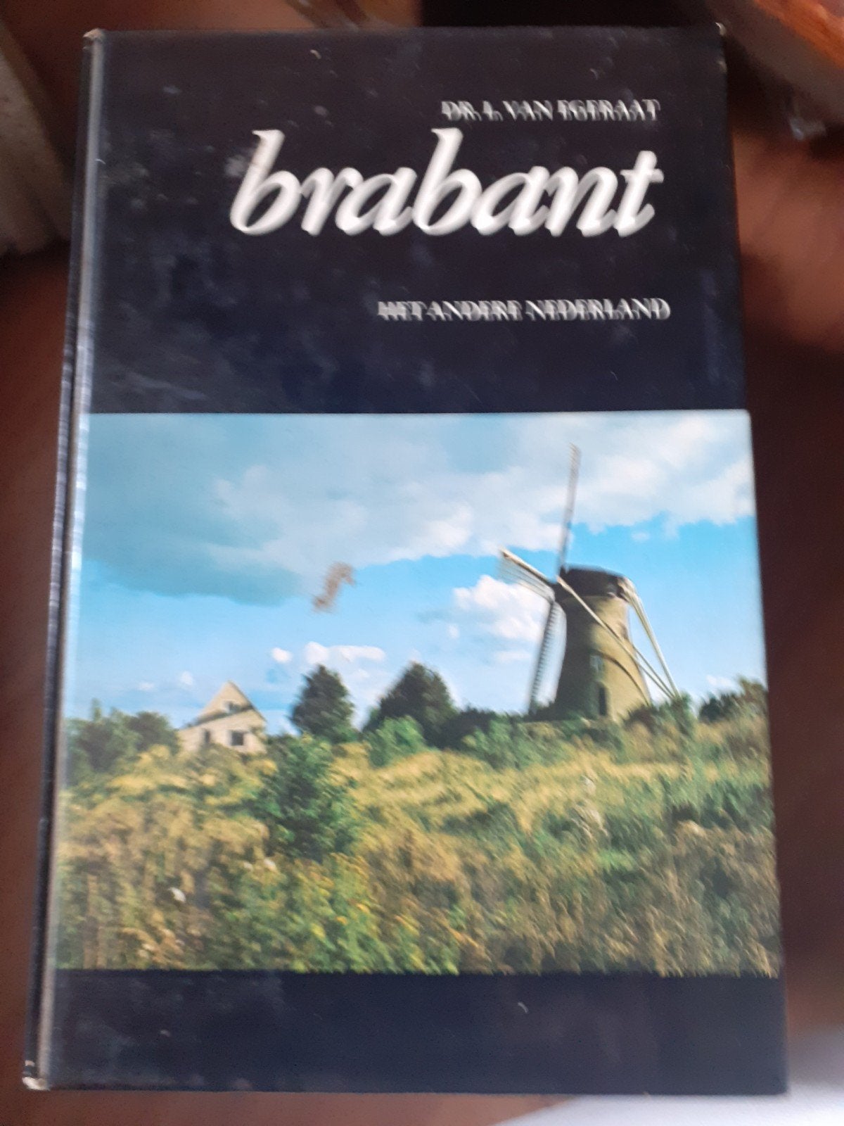 Boek over Brabant., Ophalen of Verzenden, Zo goed als nieuw, Noord-Brabant