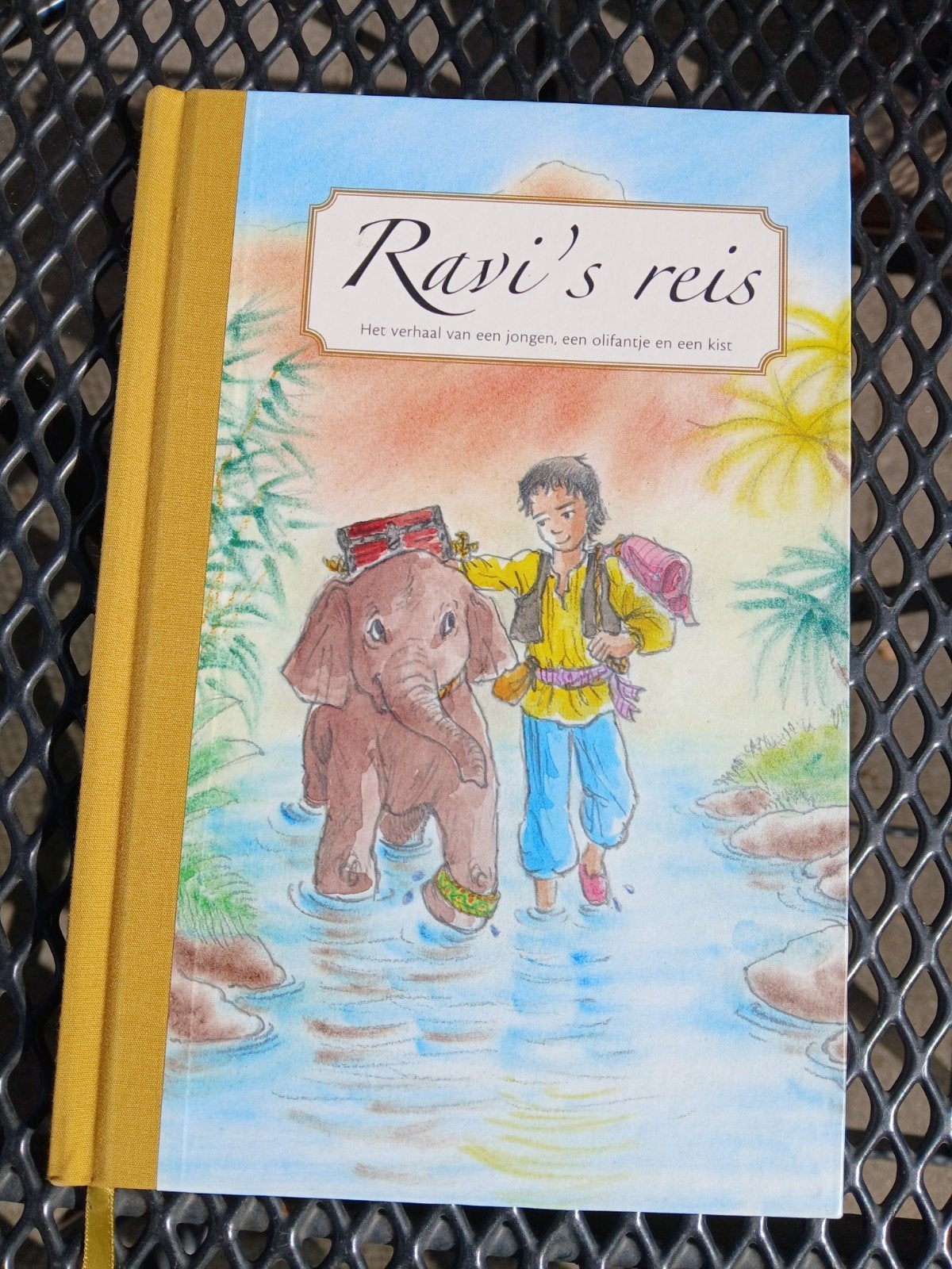 Ravi's reis, Boeken, Ophalen of Verzenden, Zo goed als nieuw, Fictie algemeen