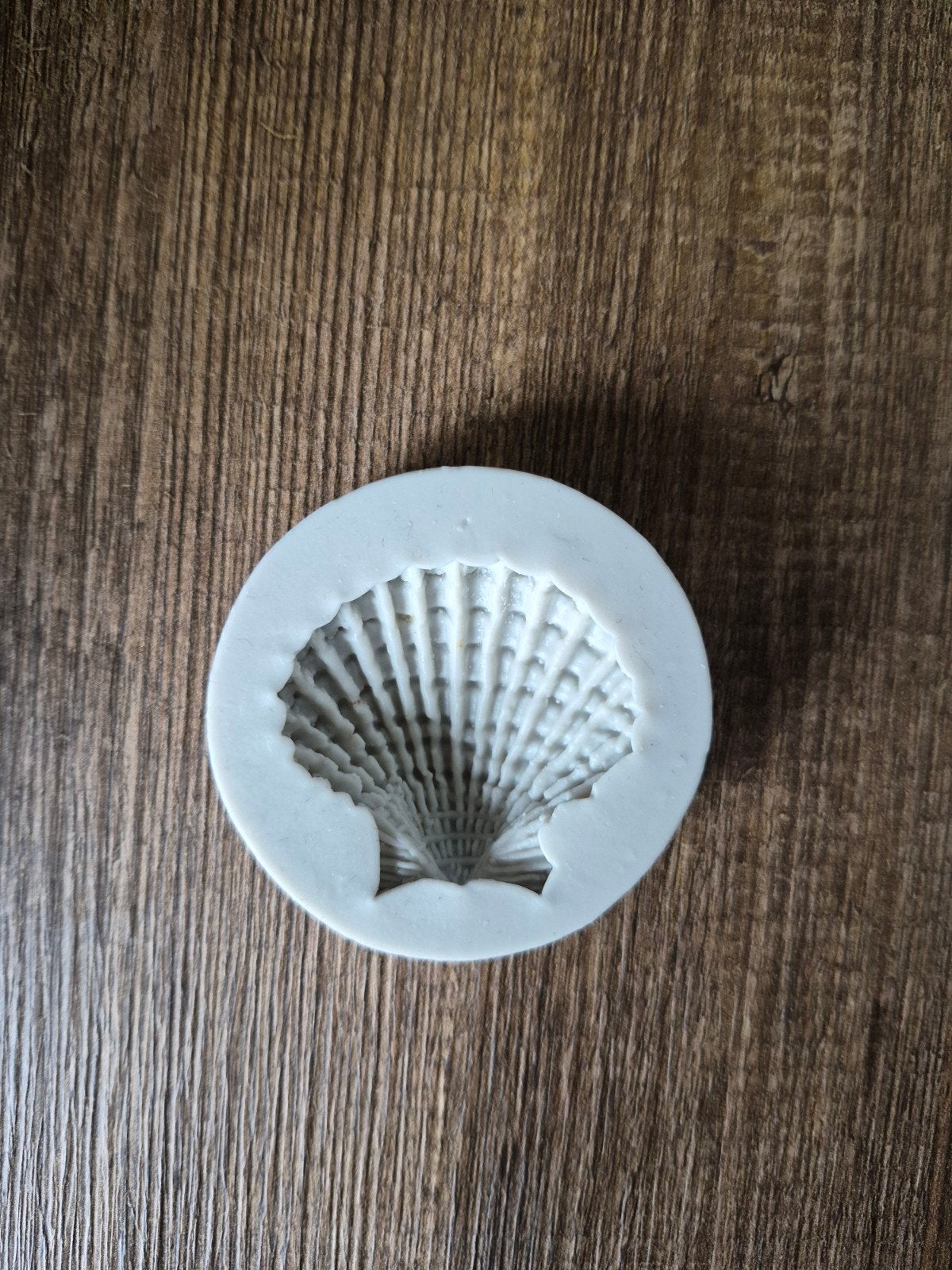 Nieuwe ongebruikte schelp kaarsenmal, Ophalen of Verzenden, Nieuw