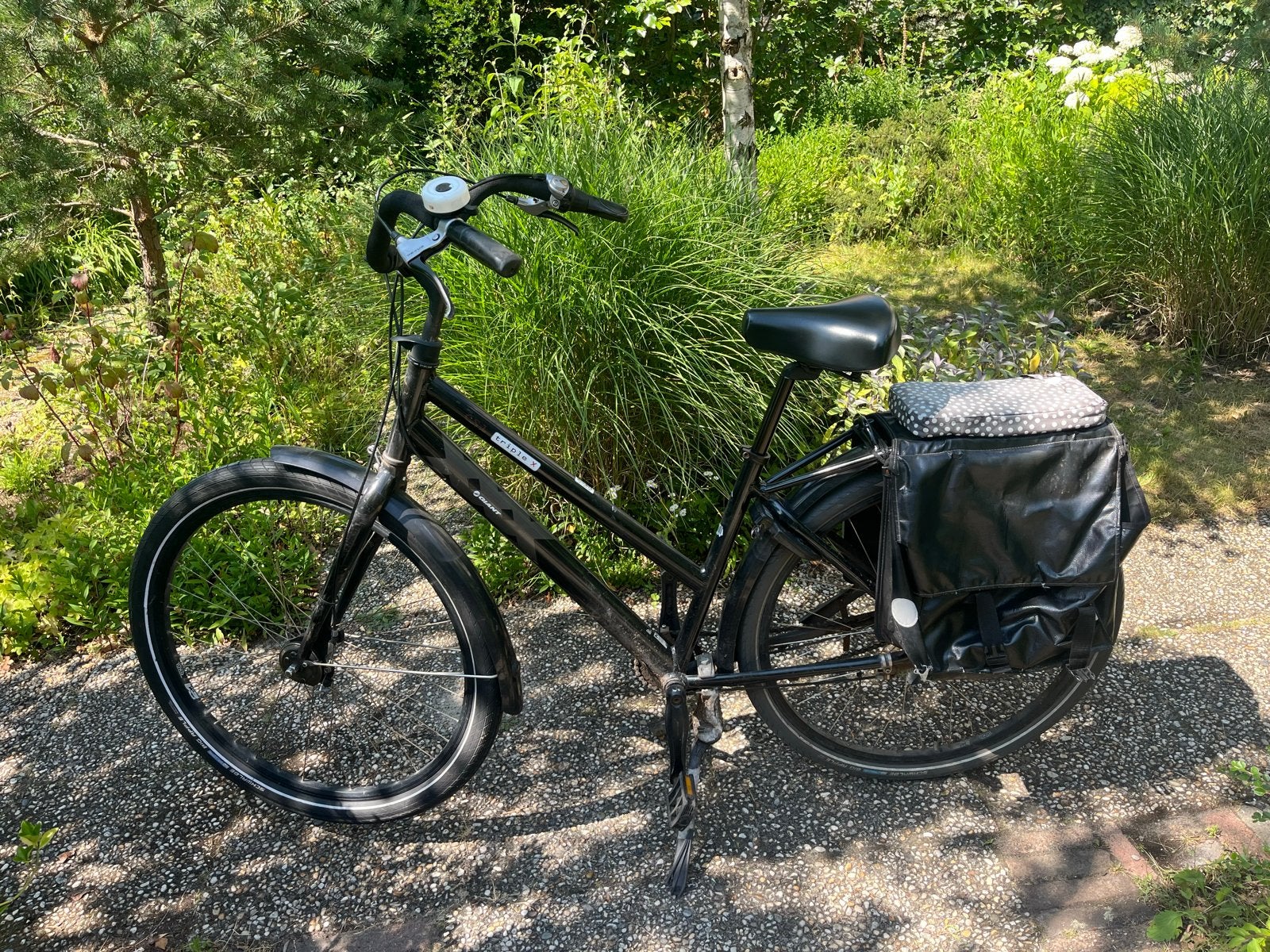 Giant Triple X Damesfiets - Maat M, Fietsen en Brommers, Fietsen | Dames | Damesfietsen, Ophalen, Terugtraprem, Gebruikt, Versnellingen