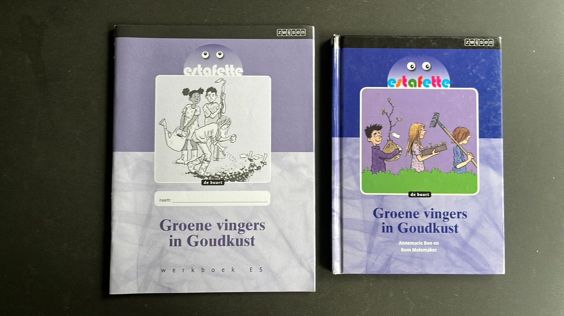 Begrijpend kezen groep 5 leesboek met oefenschrift, Boeken, Ophalen of Verzenden, Nieuw, Overige niveaus, Nederlands