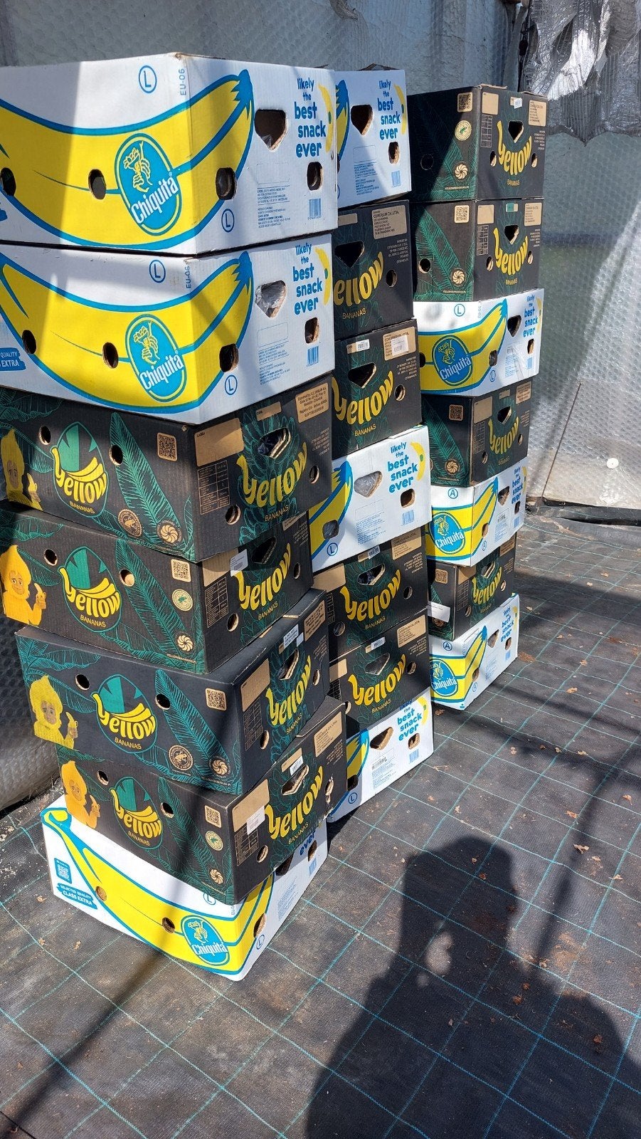 Bananendozen - Ideaal voor verhuizing of opslag, 40 tot 60 cm, 50 tot 75 cm, Ophalen of Verzenden, 35 tot 50 cm