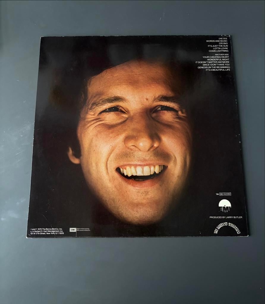 Don McLean - Chain Lightning / Crying (LP, 1979), Ophalen of Verzenden, Gebruikt, 12 inch