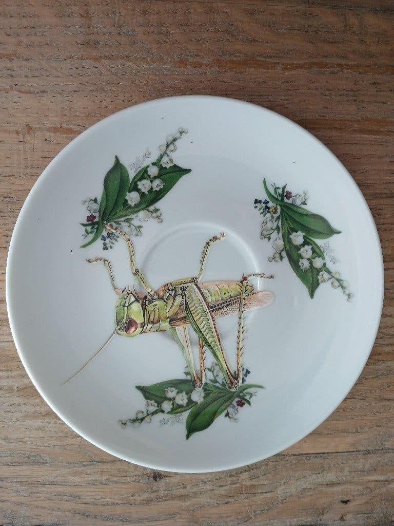 sier schoteltje japie krekel, Meerkleurig, Overige materialen, Overige stijlen, Nieuw