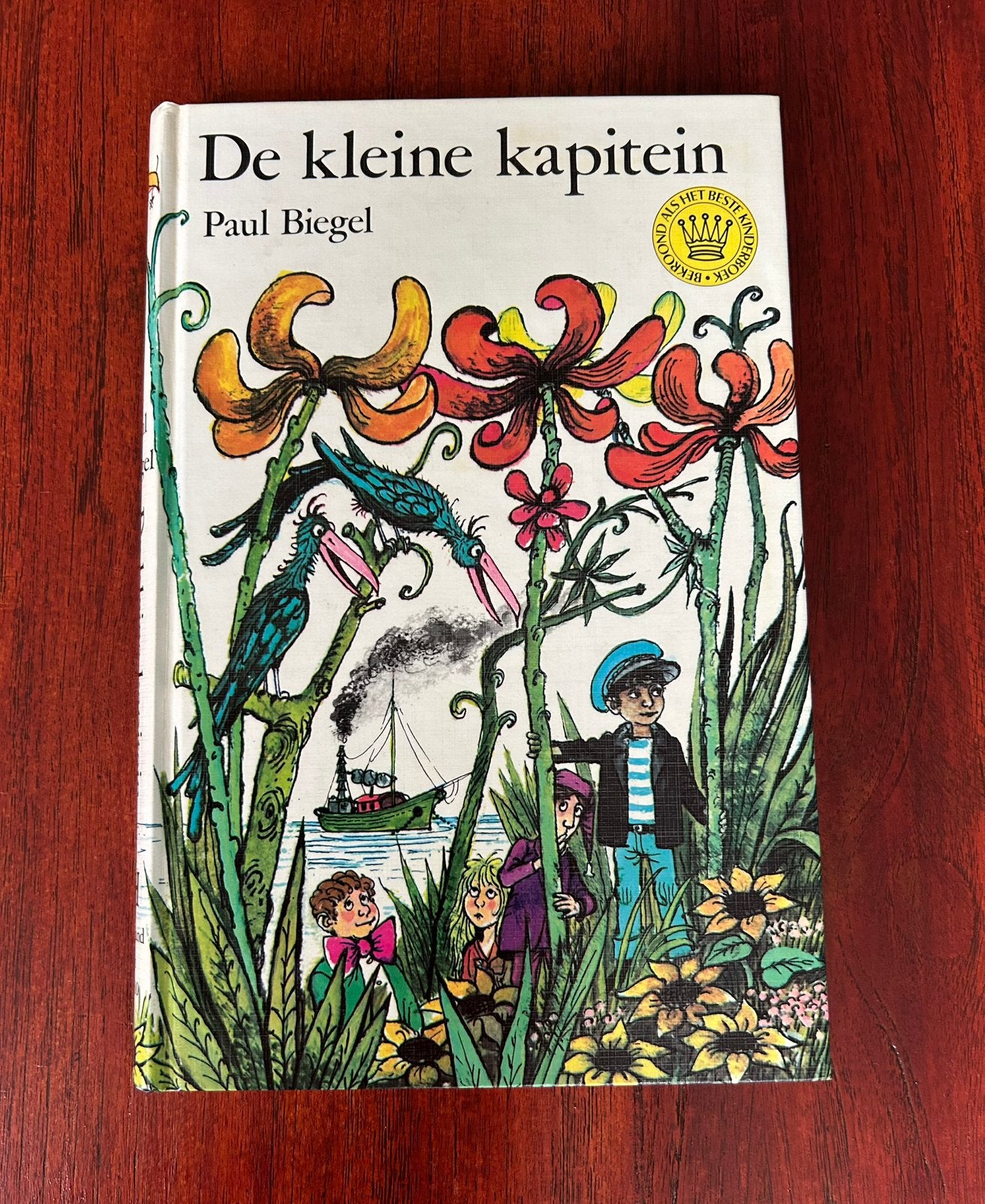 De kleine kapitein  -  Paul Biegel, Ophalen of Verzenden, Zo goed als nieuw, Fictie algemeen