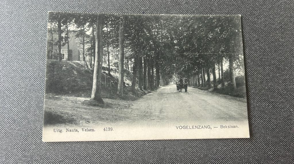 Vogelensang Bekslaan met rijtuig, Ophalen of Verzenden, Voor 1920, Gelopen, Noord-Holland