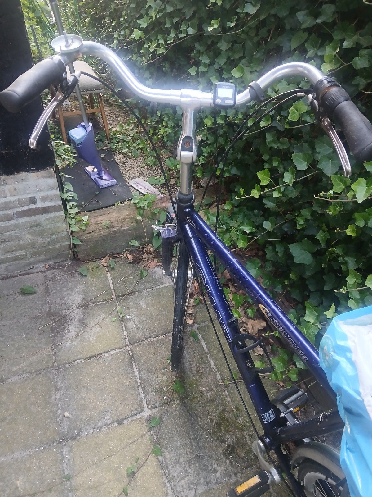 Giant Damesfiets - Gebruikt maar functioneel, Fietsen en Brommers, Fietsen | Dames | Damesfietsen, Terugtraprem, 53 tot 56 cm