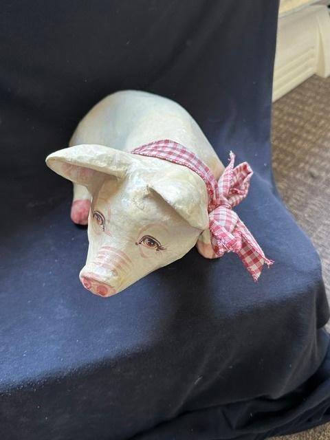 Varken met Strik, Ophalen of Verzenden, Zo goed als nieuw, Dier