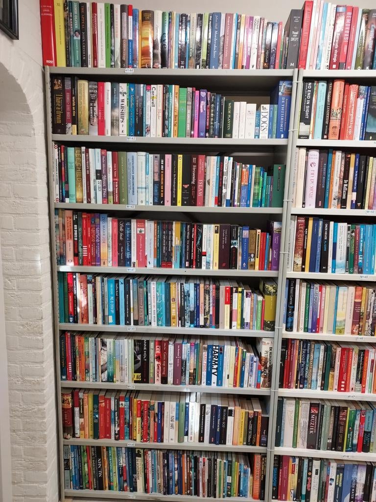 Ruim 800 boeken € 600.- ( is slechts € 0.75 per boek), Boeken, Partijen en Verzamelingen, Gelezen, Verschillende onderwerpen, Ophalen
