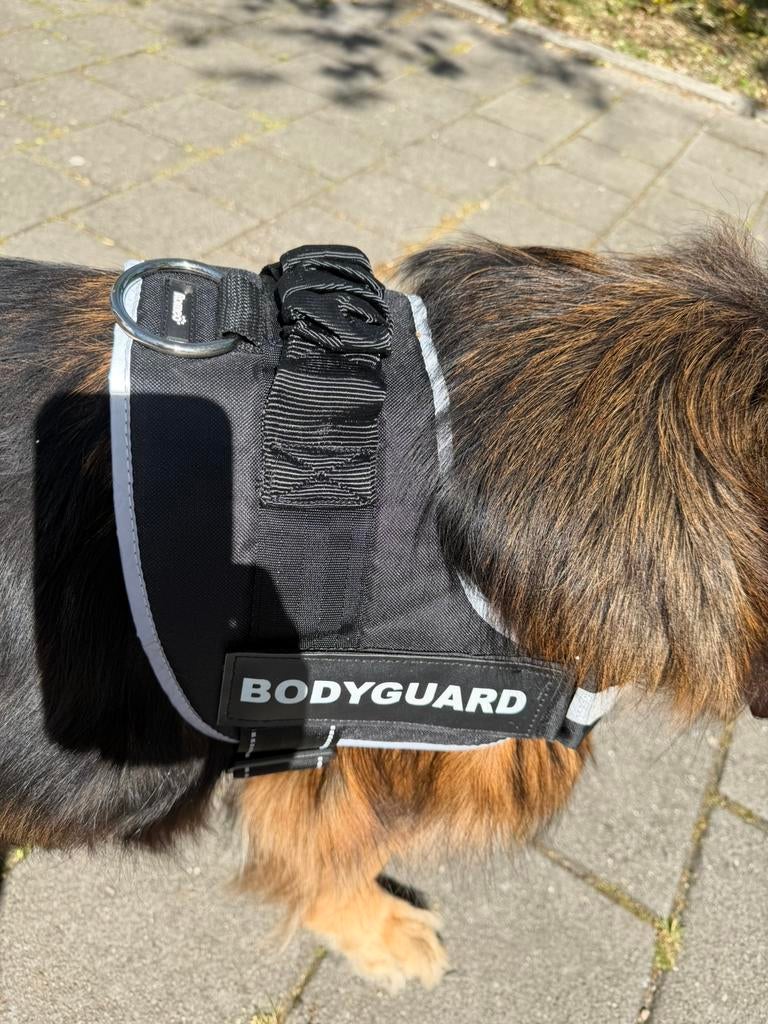 Mooi honden tuigje, Ophalen, Zo goed als nieuw