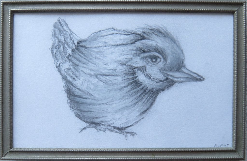 tekening Winterkoning 11x9cm, Ophalen of Verzenden