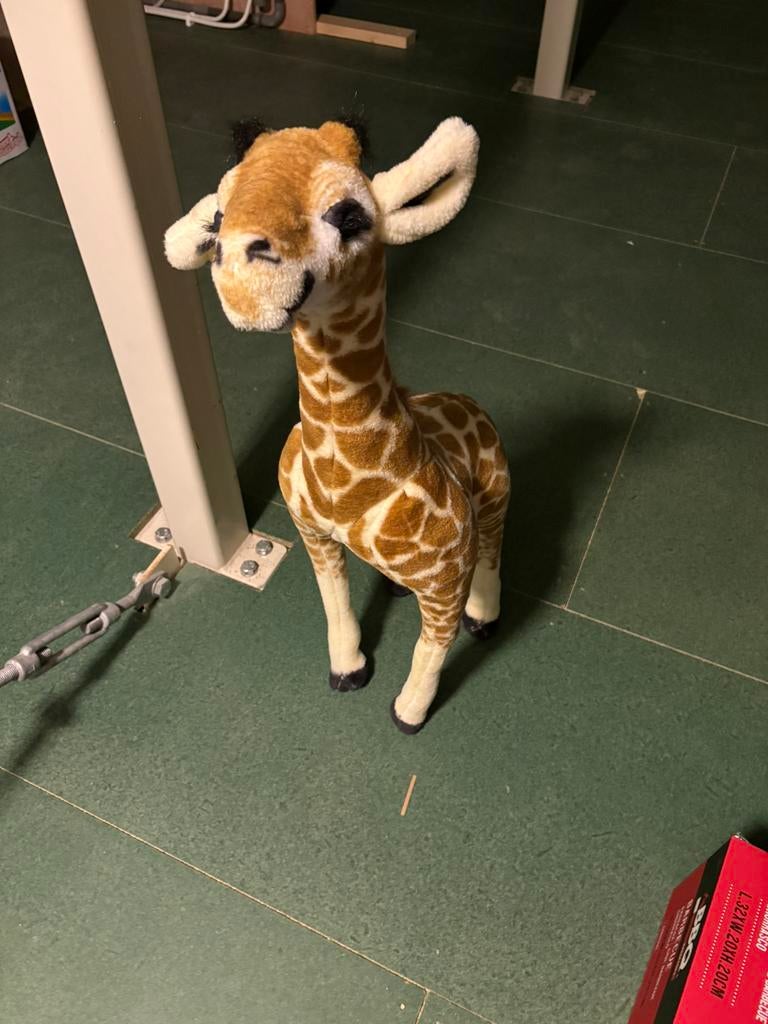 Staande giraffe, Ophalen, Nieuw, Overige typen