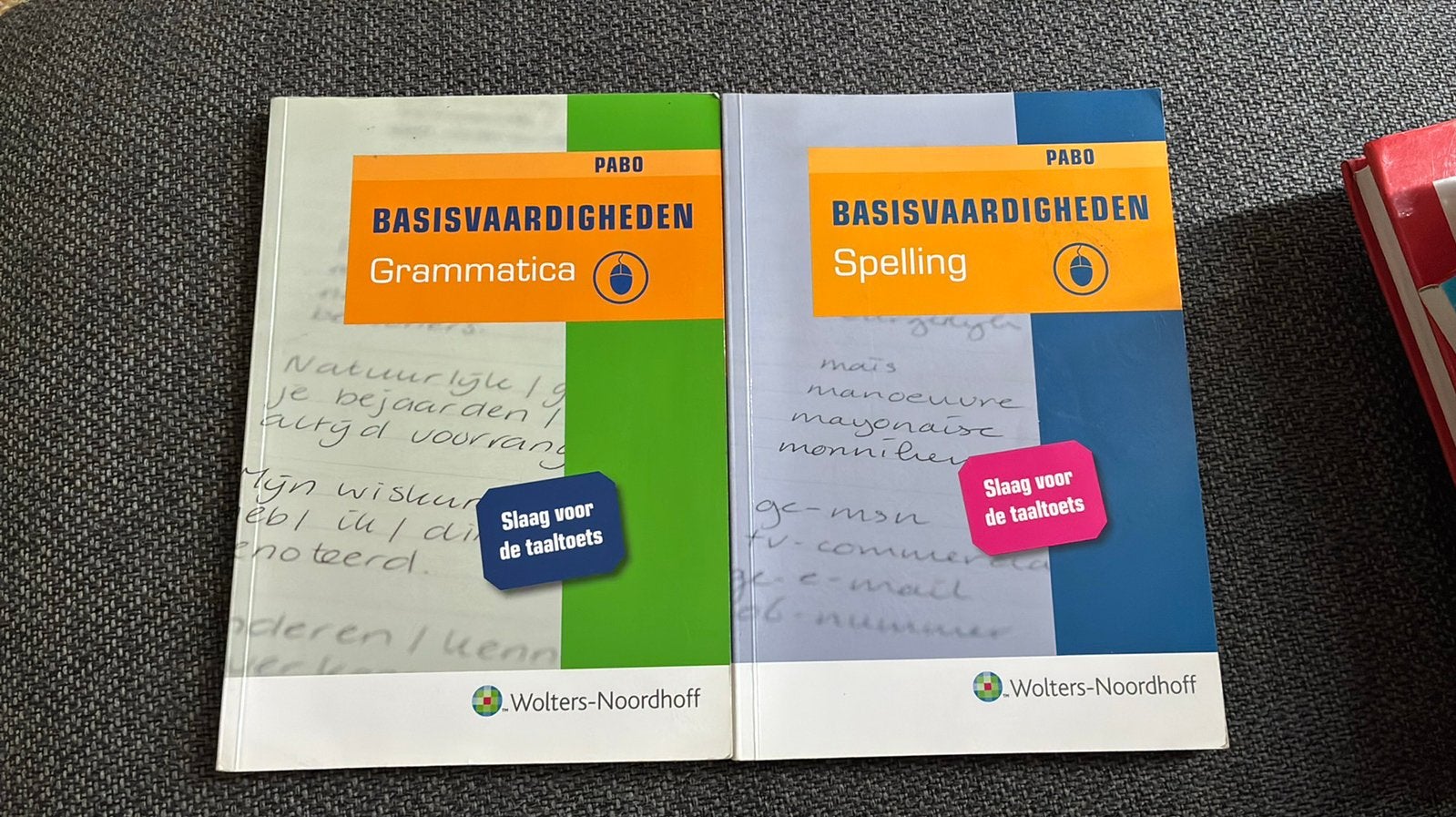 Pabo basisvaardigheden grammatica en spelling, Boeken, Gelezen, M. Bout; H. de Bruijn, Ophalen of Verzenden, Alpha