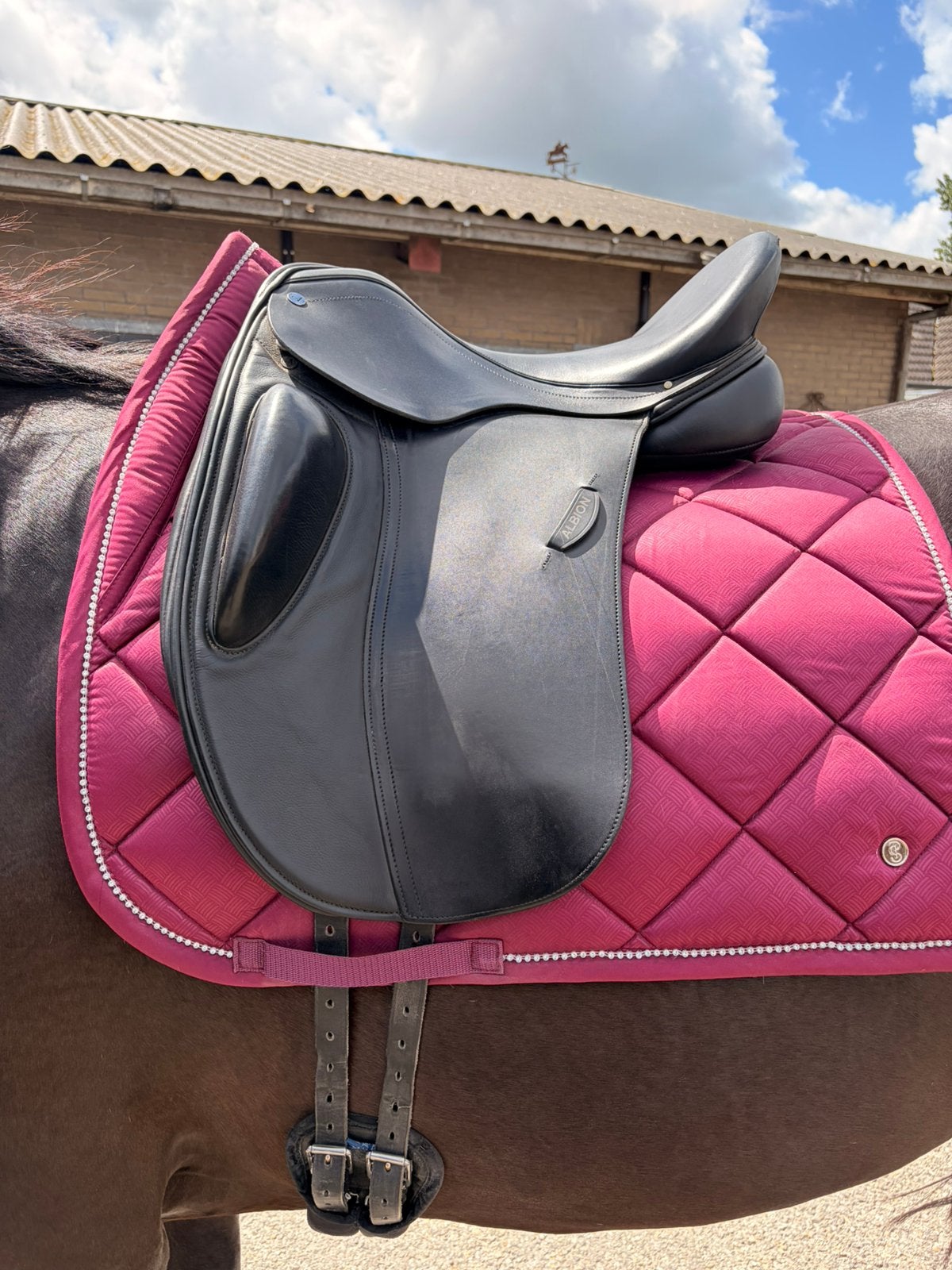 Albion dressur zadel 17,5 inch.  Een jaar oud., Ophalen, Zo goed als nieuw, Dressuur