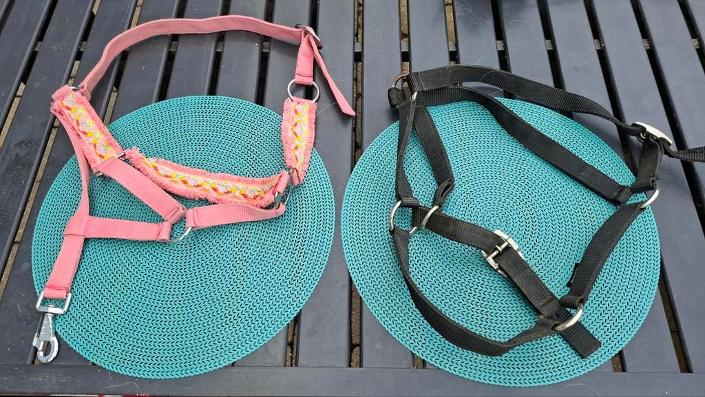 Halsters pony roze en zwart, Ophalen, Overige soorten