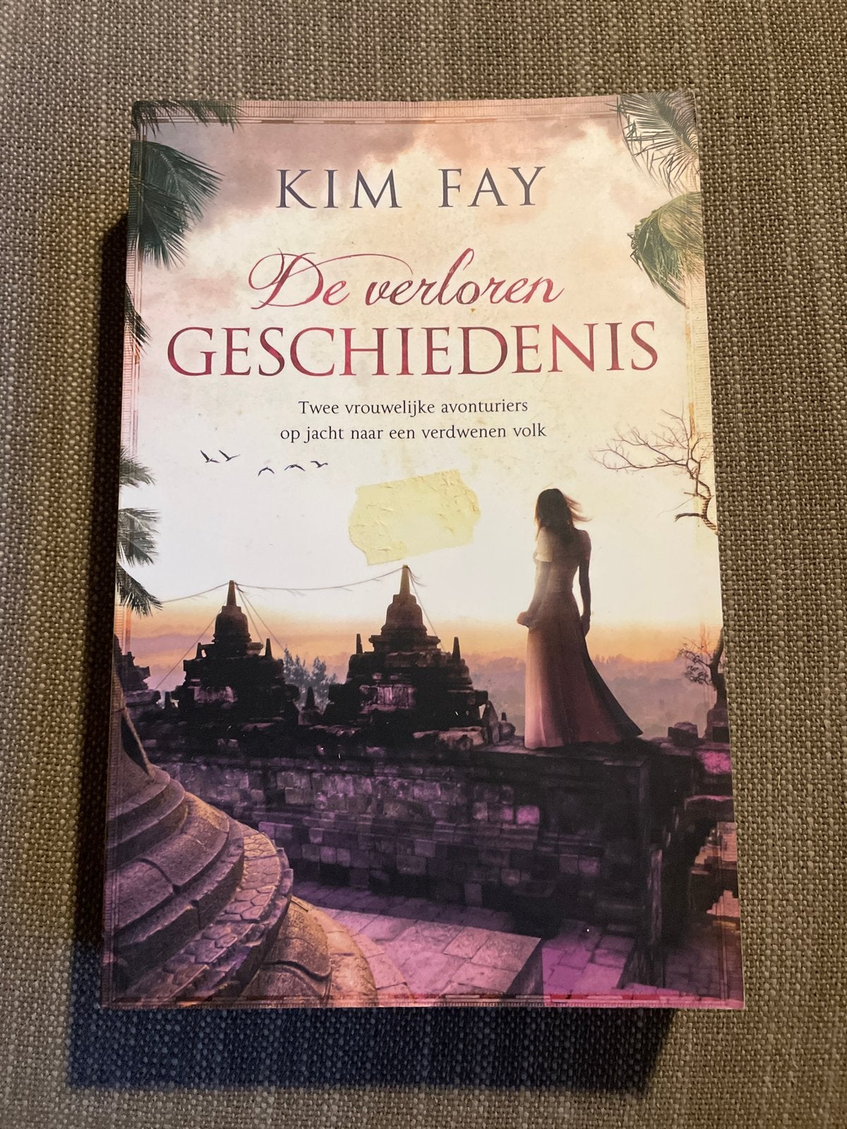 Kim Fay - De verloren geschiedenis, Ophalen of Verzenden, Amerika, Kim Fay, Zo goed als nieuw