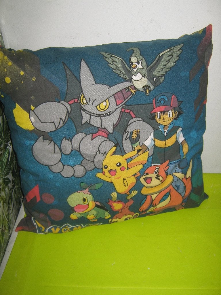 POKEMON KUSSEN €0,95! OPBRENGST VOEDSELBANK!, Ophalen, Gebruikt