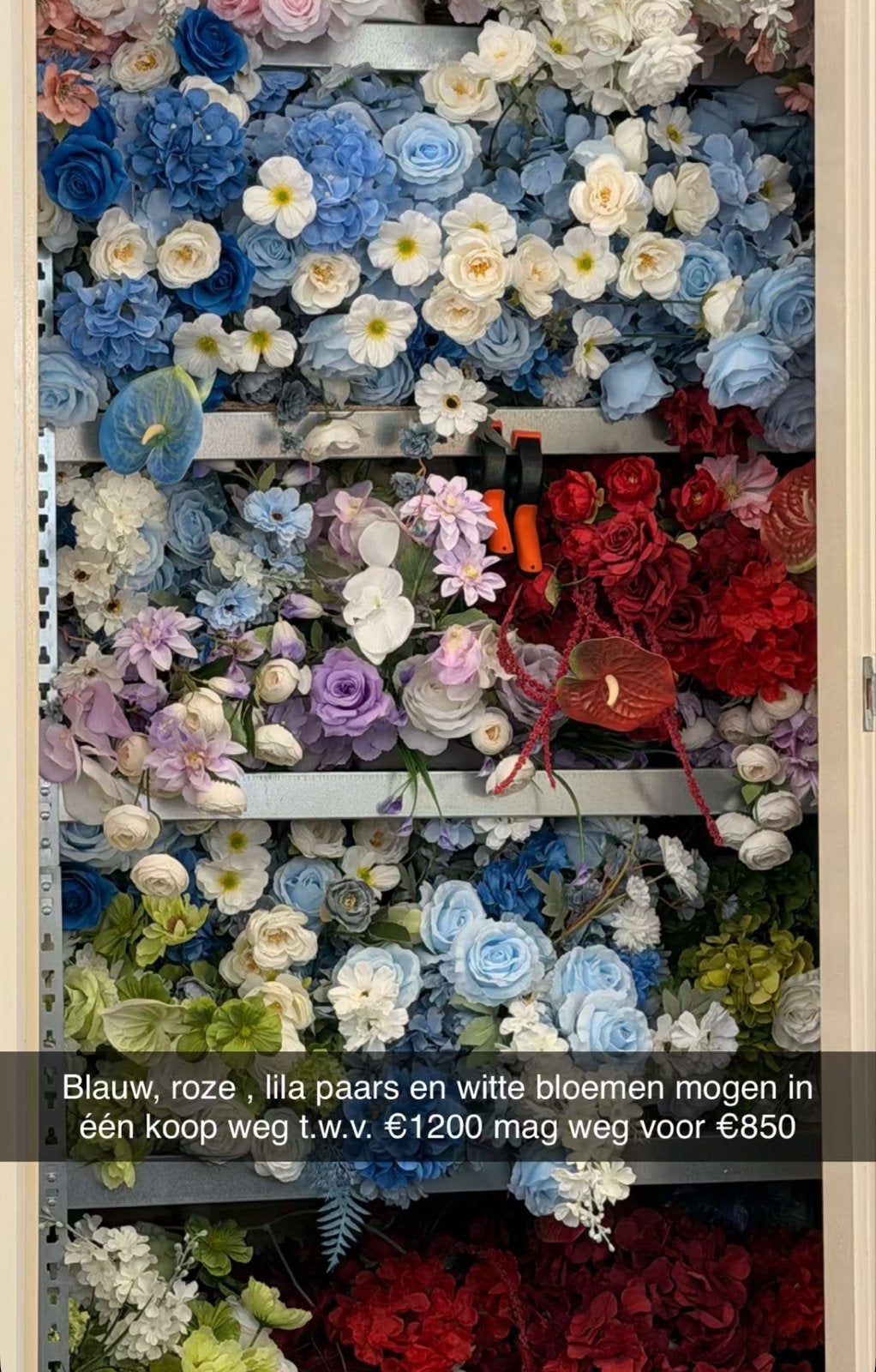 Partij bloembollen - Z.g.a.n. - Diameter 40cm, Ophalen of Verzenden, Gehele jaar, Halfschaduw, Bloembol