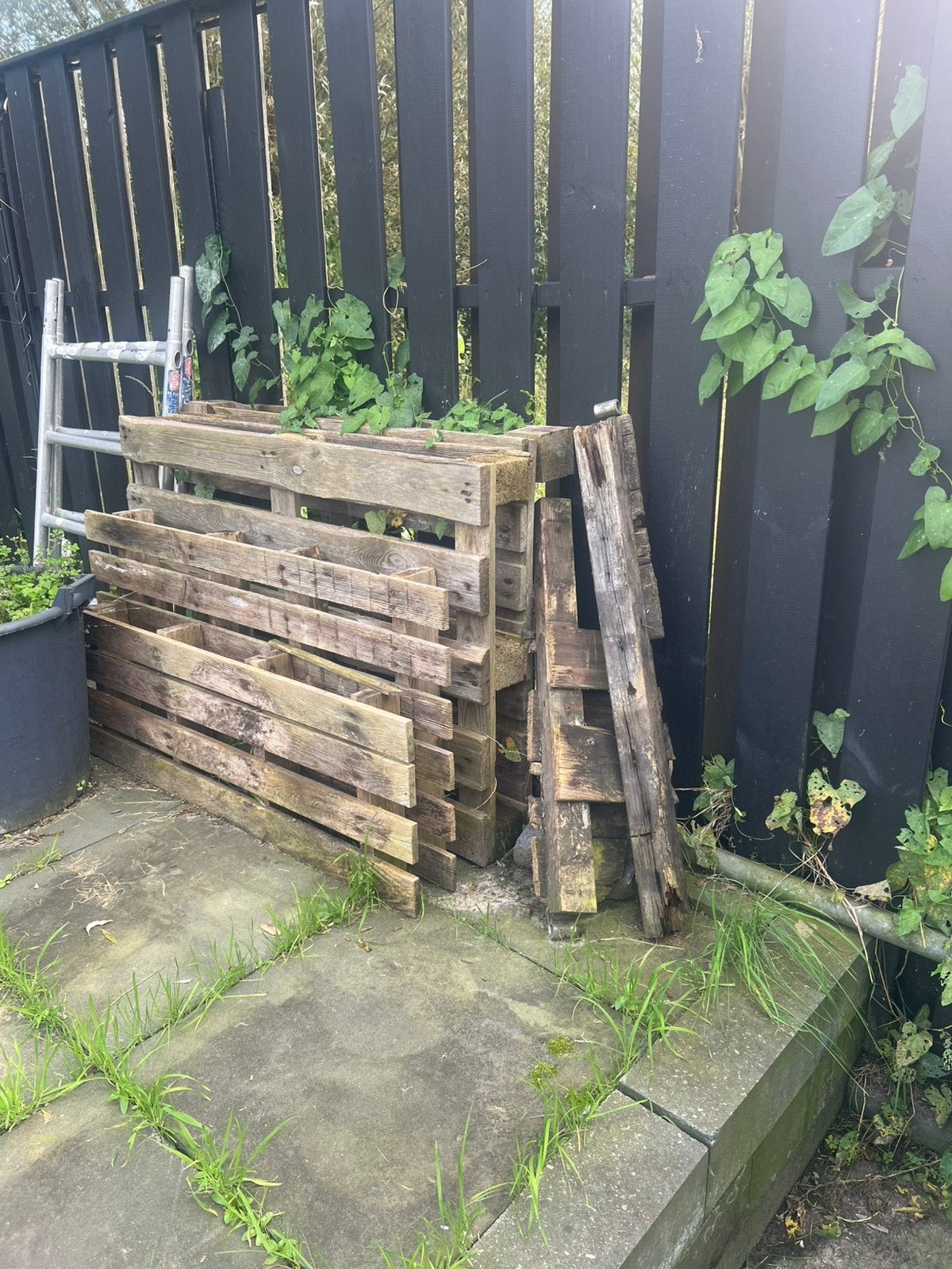 Gratis hout brandhout pallets, Ophalen, Zo goed als nieuw, Hout