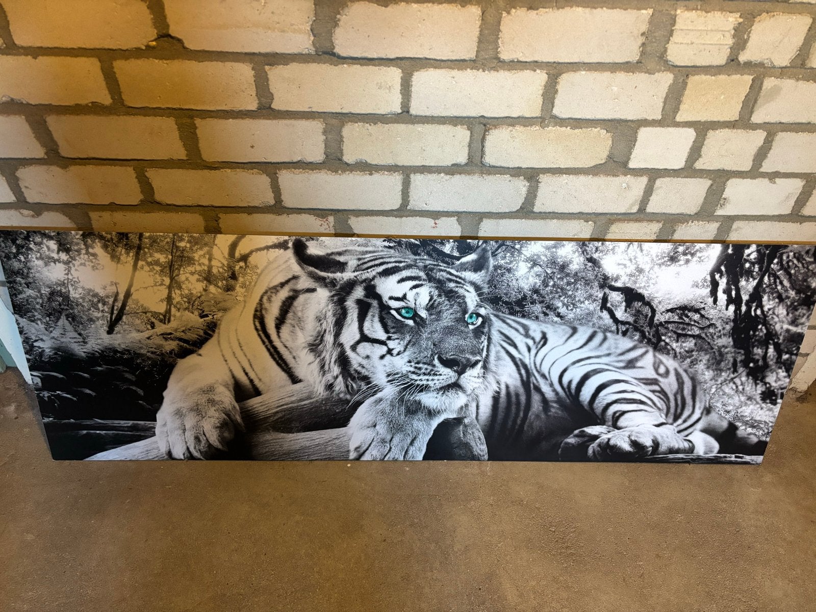Schilderij tijger met blauwe ogen - Zwart-wit canvas, Ophalen, Dieren, Print, Op houten frame