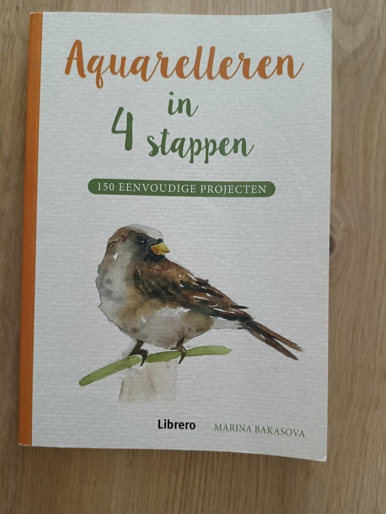 Aquarelleren in 4 stappen, Ophalen of Verzenden, Zo goed als nieuw, Overige onderwerpen