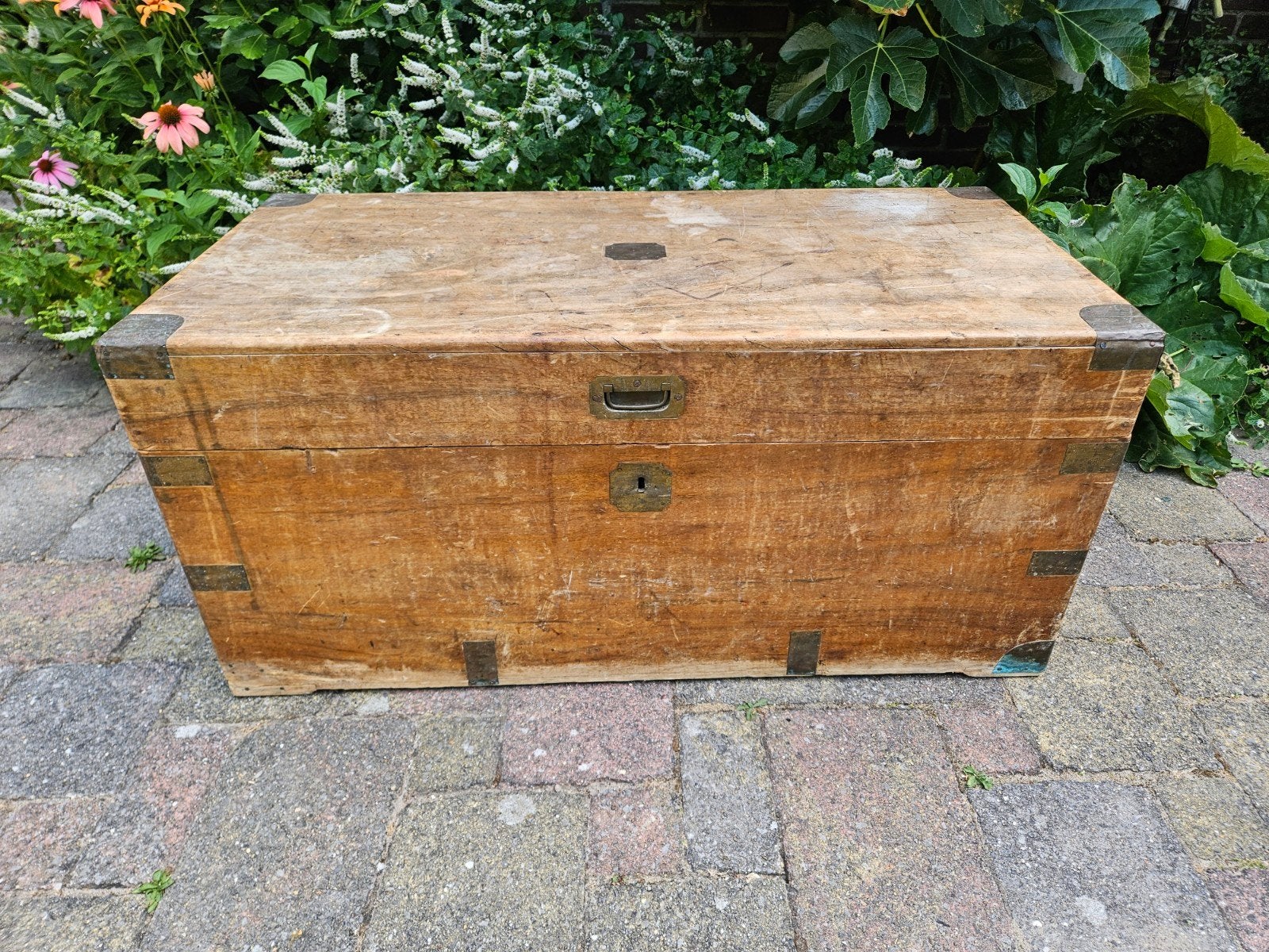 Antieke Kist Nederlands Indië 98x49x46 cm, Ophalen, Gebruikt, 50 tot 100 cm, Minder dan 50 cm