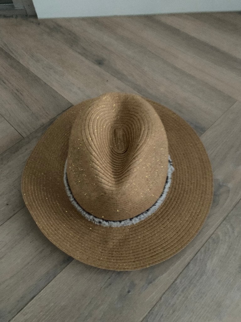Hoed bruin met glitter, Ophalen of Verzenden, Zo goed als nieuw, One size fits all, Hoed