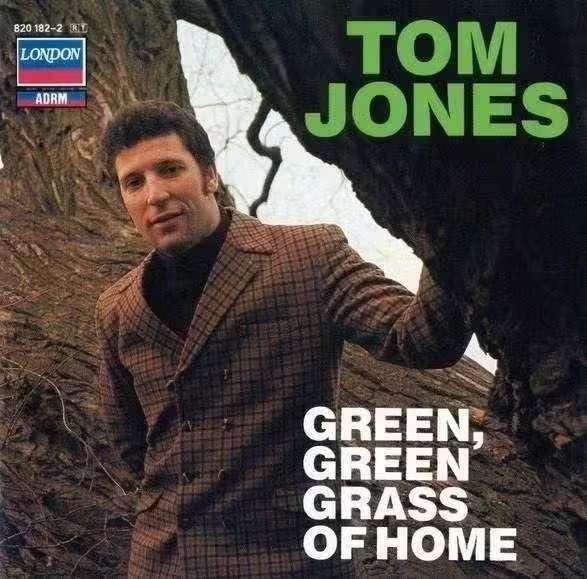 CD Tom Jones - Green , Green Grass Of Home 820 182-2 DECCA, Ophalen of Verzenden, Zo goed als nieuw, Poprock, Album