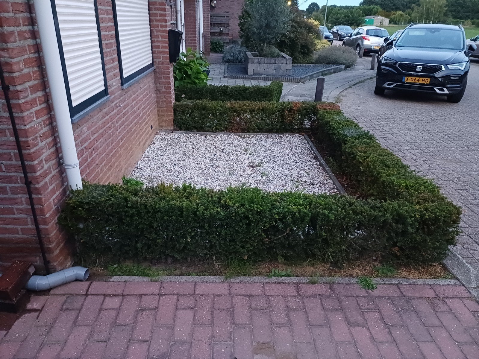 gratis, Boeken, Ophalen