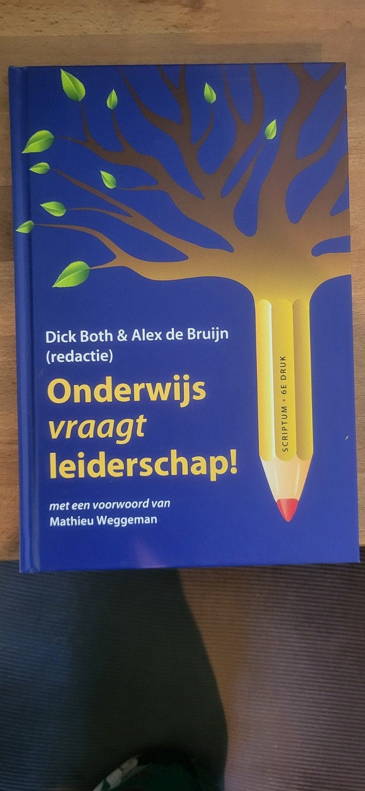 Onderwijs vraagt leiderschap! - Dick Both & Alex de Bruijn, Boeken, Zo goed als nieuw, Gamma, HBO, Dick Both & Alex de Bruijn