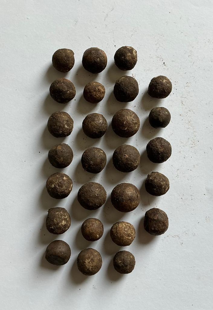 26 Musketkogels, Verzenden, Landmacht, Nederland