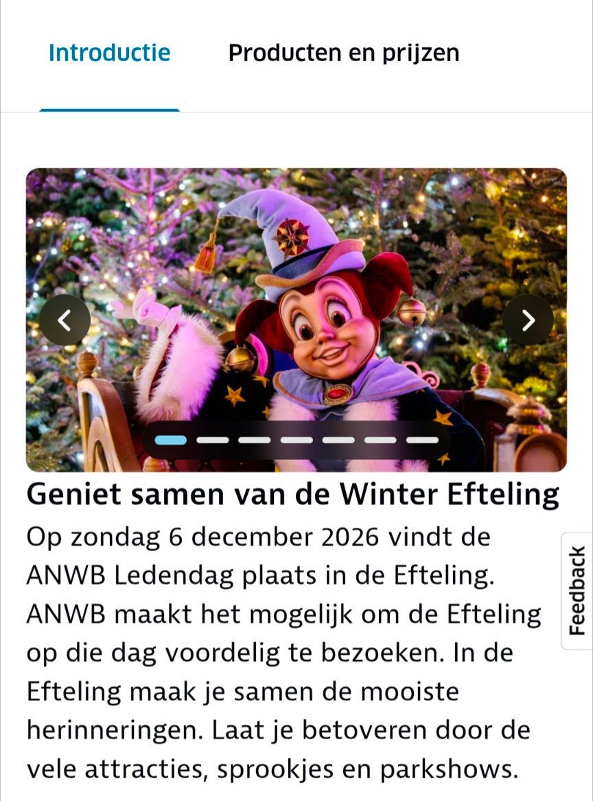 Voor € 28 p.p. naar de Efteling op zondag 6 december tickets, Drie personen of meer, Ticket of Toegangskaart