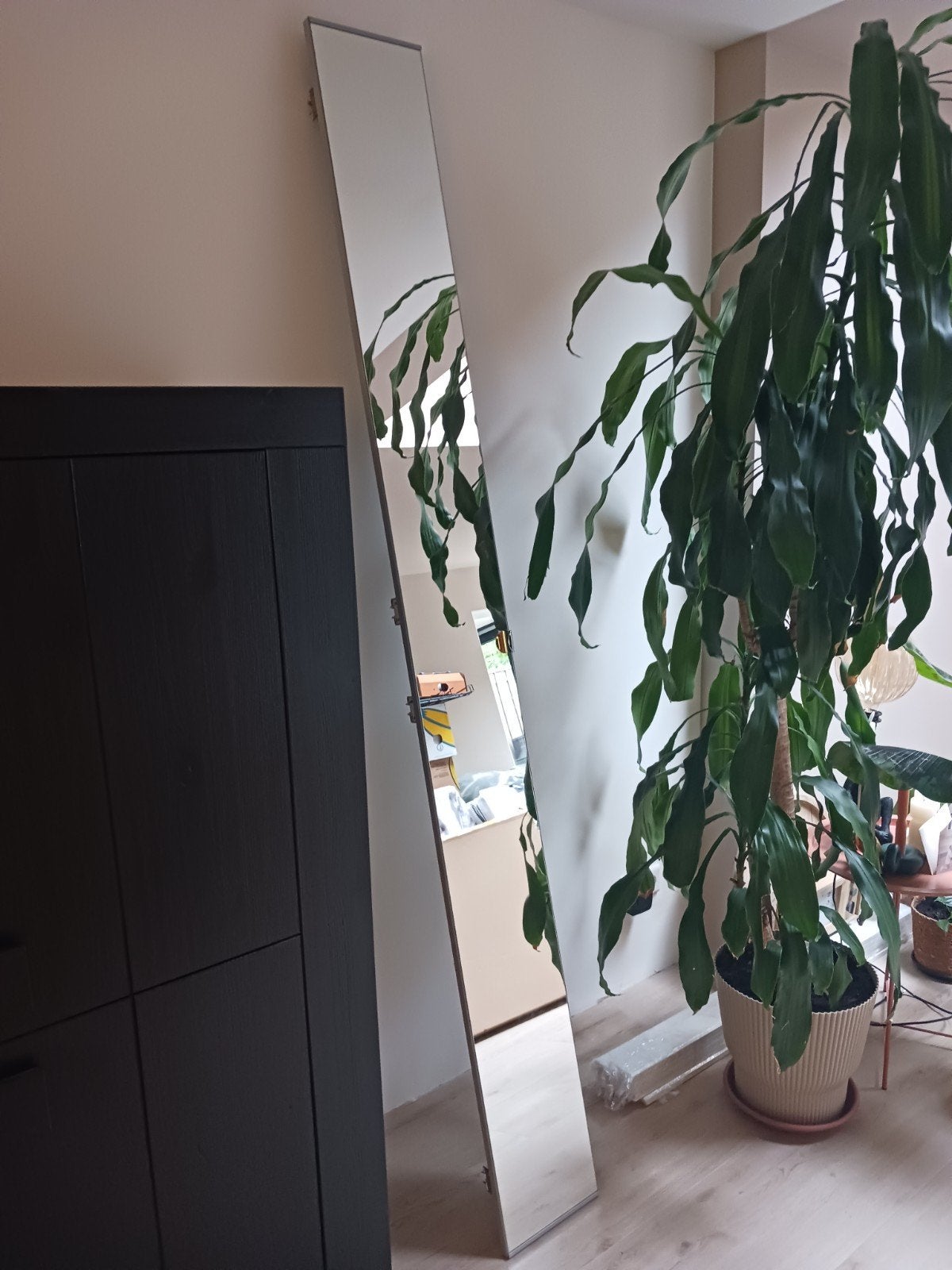 Spiegeldeur PAX kast 229x25, Ophalen, Rechthoekig, 50 tot 75 cm, 200 cm of meer