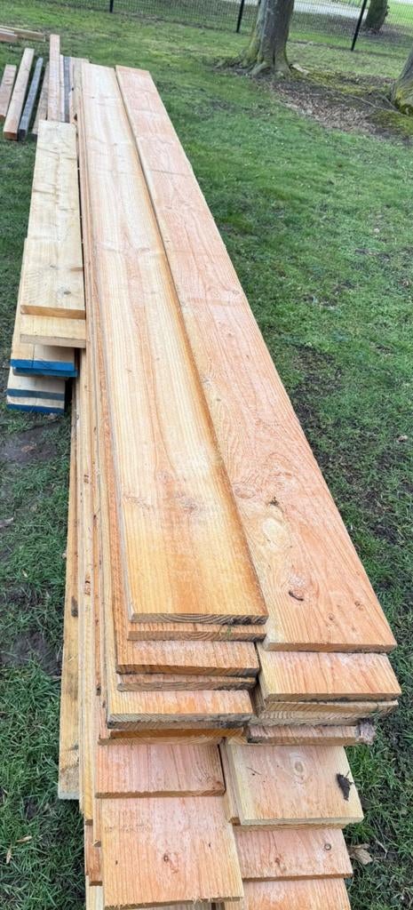 Houten planken - Diverse lengtes en diktes, 25 tot 50 mm, Nieuw, Ophalen of Verzenden, Plank