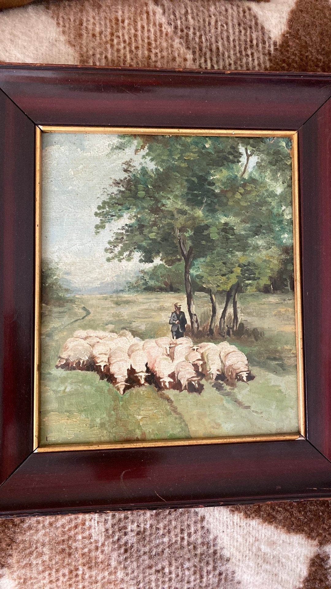 Herman van der Weele afbeelding schapen, Ophalen of Verzenden